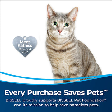 BISSELL CleanView Pet Slim Cordless Stick Vacuum (Convertible To Handheld)
